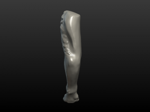 wolf paw Model Cetak 3D