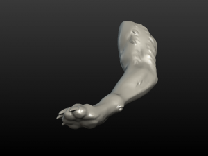 wolf paw Model Cetak 3D
