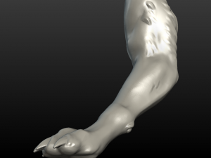 wolf paw Model Cetak 3D