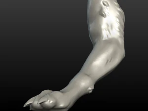 pata de lobo Modelo de Impressão 3D