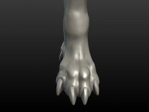 wolf paw Model Cetak 3D