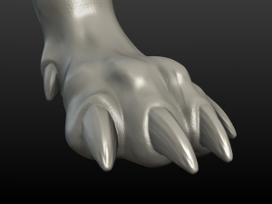wolf paw Model Cetak 3D