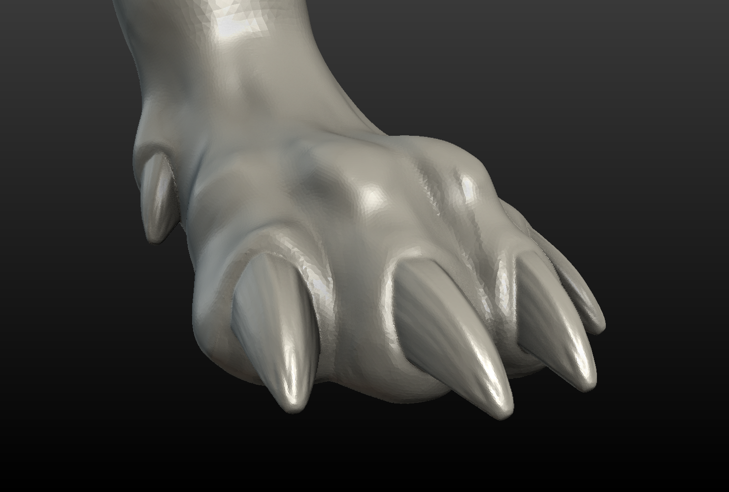 Wolf Paw 3D Model in Coins and Badges 3DExport