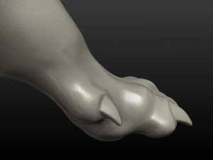 wolf paw Model Cetak 3D