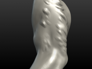 wolf paw Model Cetak 3D
