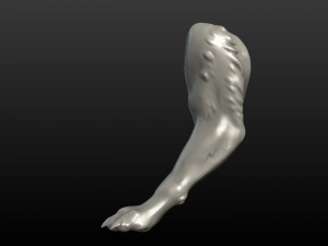 wolf paw Model Cetak 3D