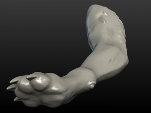 wolf paw Model Cetak 3D