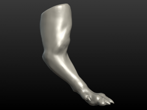 wolf paw Model Cetak 3D