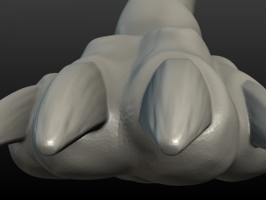 wolf paw Model Cetak 3D