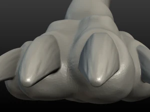 pata de lobo Modelo de Impressão 3D