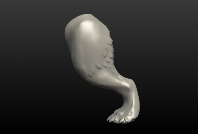 wolf hind paw Modelo de Impressão 3D .c4d .max .obj .3ds .fbx .stl .blend 