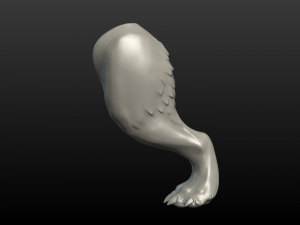 wolf hind paw 3D Print Model
