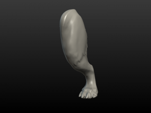 wolf hind paw Modelo de Impressão 3D