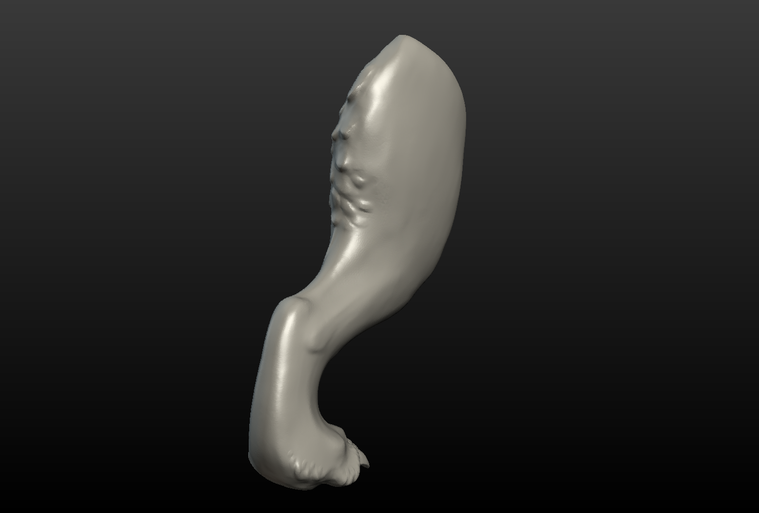 Wolf Hind Paw 3D Model in Other 3DExport