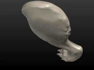 wolf hind paw Modelo de Impressão 3D
