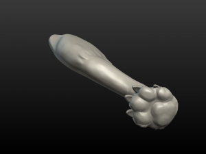 wolf hind paw Modelo de Impressão 3D