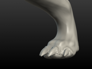 wolf hind paw Modelo de Impressão 3D