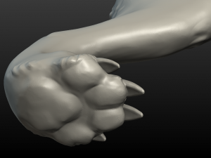 wolf hind paw Modelo de Impressão 3D