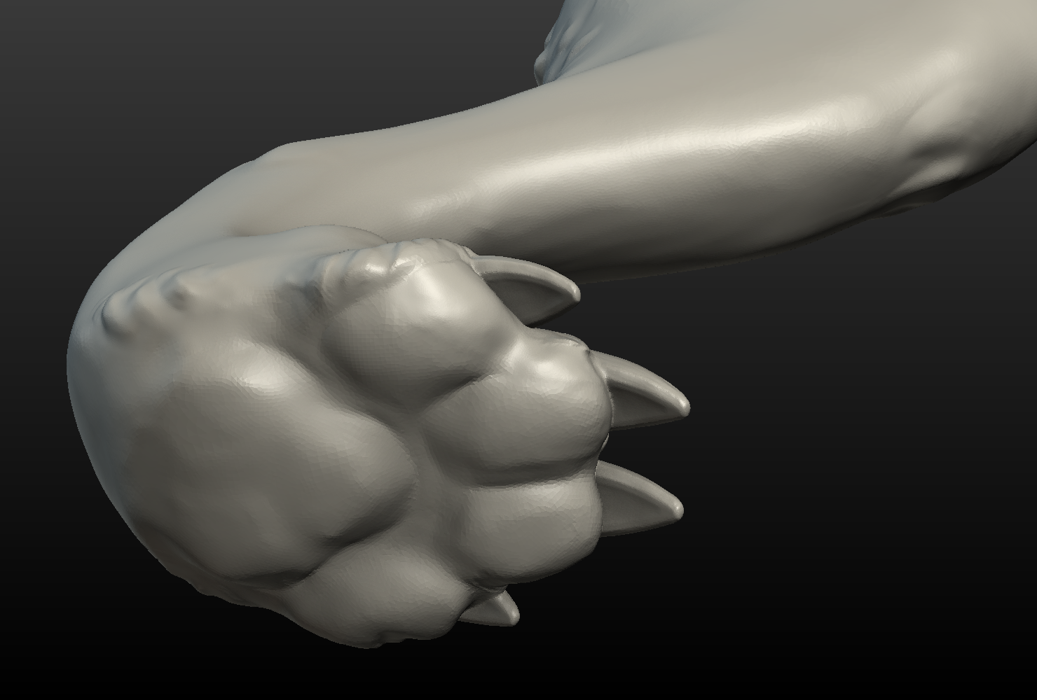 Wolf Hind Paw 3D Model in Other 3DExport