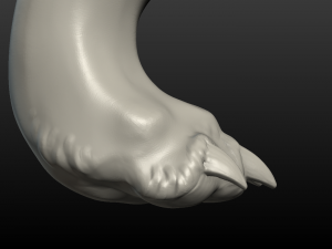 wolf hind paw Modelo de Impressão 3D