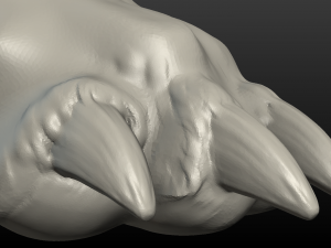 wolf hind paw Modelo de Impressão 3D