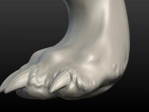 wolf hind paw Modelo de Impressão 3D