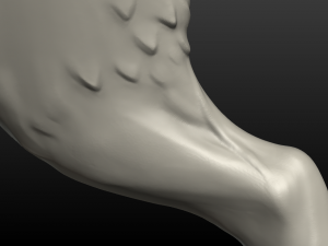 wolf hind paw Modelo de Impressão 3D