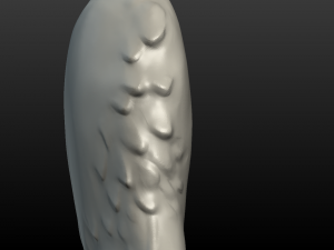 wolf hind paw Modelo de Impressão 3D