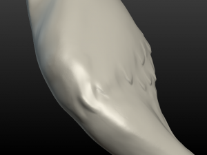wolf hind paw Modelo de Impressão 3D
