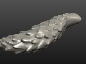 wolf tail 3D Принт Модель