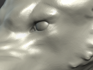fantasy wolf Model Cetak 3D