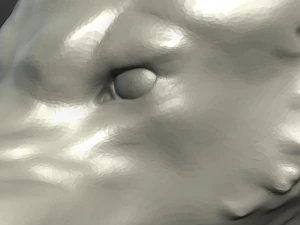 fantasy wolf 3D Print Model