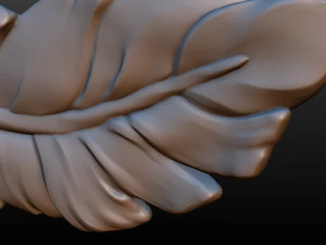 feather 3D Print Model