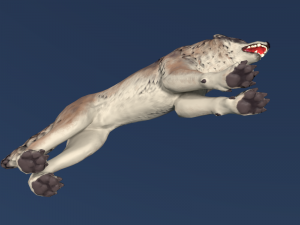 wolf ii low poly Modelo 3D