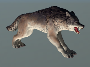 wolf ii low poly Modelo 3D