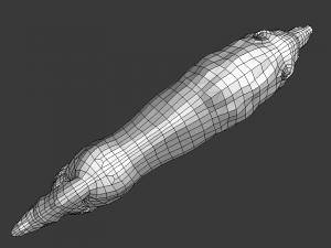 wolf ii low poly Modelo 3D