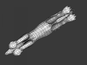 wolf ii low poly Modelo 3D