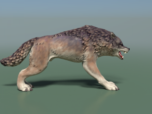 wolf ii low poly 3D मॉडल