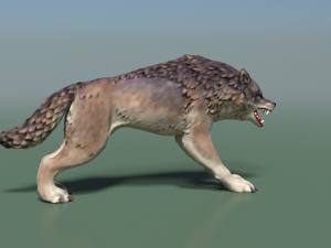 wolf ii low poly Modelo 3D