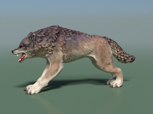 wolf ii low poly Modelo 3D
