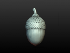 Acorn 3D Print Model