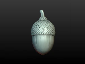 Acorn 3D Print Model