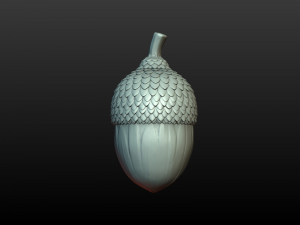 Acorn 3D Print Model