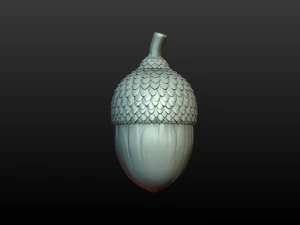 Acorn 3D Print Model
