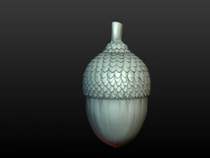 Acorn 3D Print Model