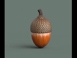 Acorn low poly 3D Model