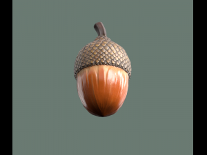 Acorn low poly 3D Model