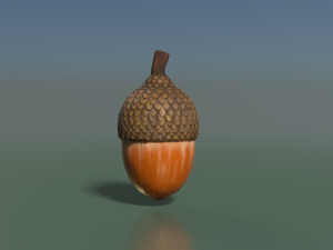 Acorn low poly 3D Model