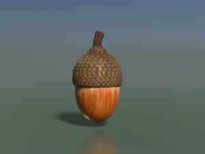Acorn low poly 3D Model