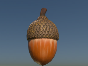 Acorn low poly 3D Model